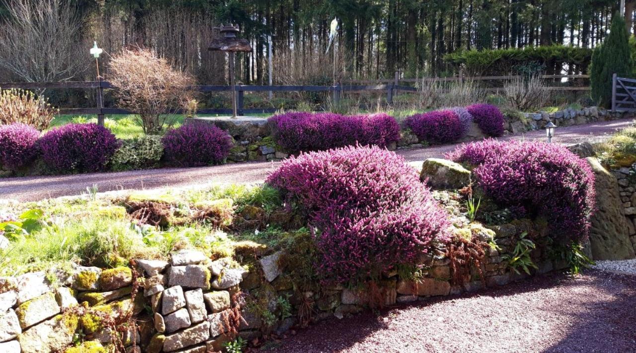 Le Petit Bois Normand - Chambre D'Hote Bed and Breakfast Champ-du-Boult Buitenkant foto