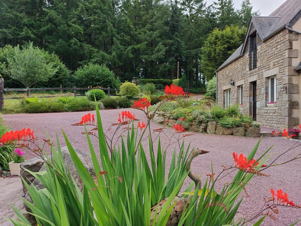 Le Petit Bois Normand - Chambre D'Hote Bed and Breakfast Champ-du-Boult Buitenkant foto